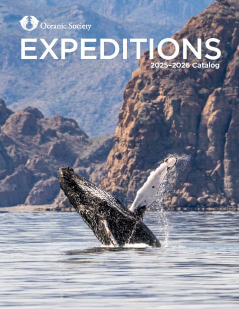 2025-2026 Expeditions Catalog