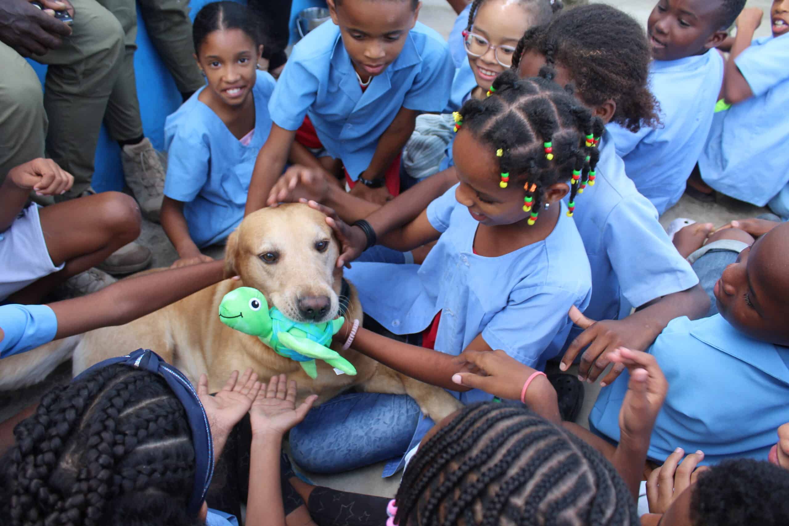 Conservation patrol dog Kelo visits local schools in Boa Vista to raise awareness about se turtles ©Fundação Tartaruga