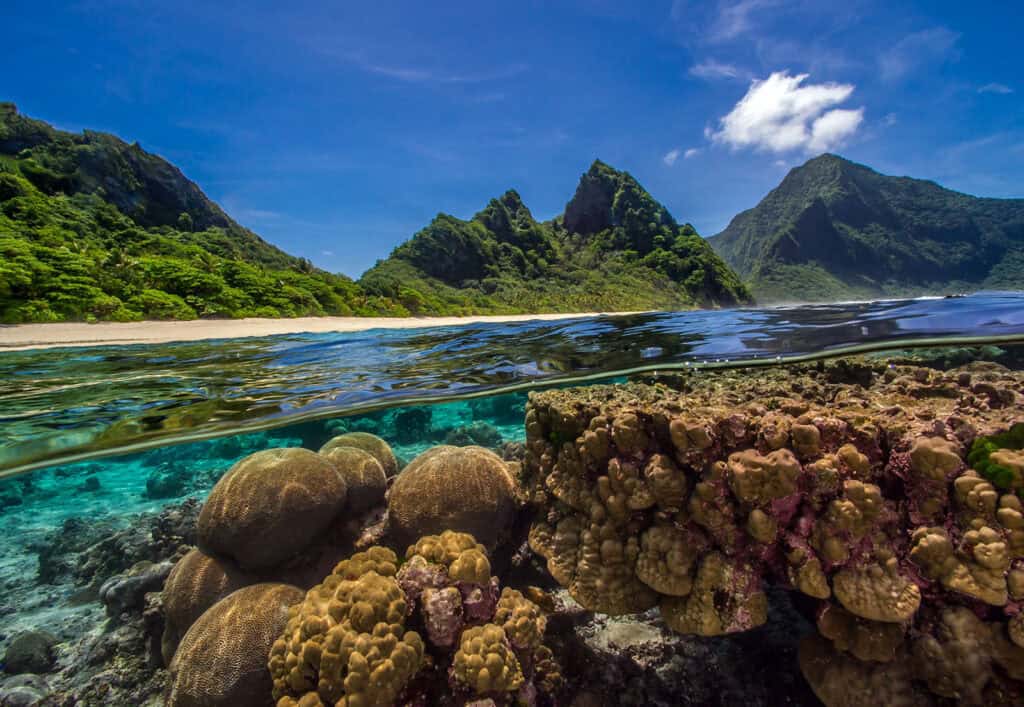 coral reef in American Samoa
