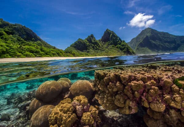 coral reef in American Samoa