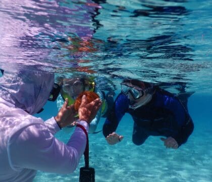Oceanic Naturalist guide showing coral to travelers at Great Blue Hole in Belize