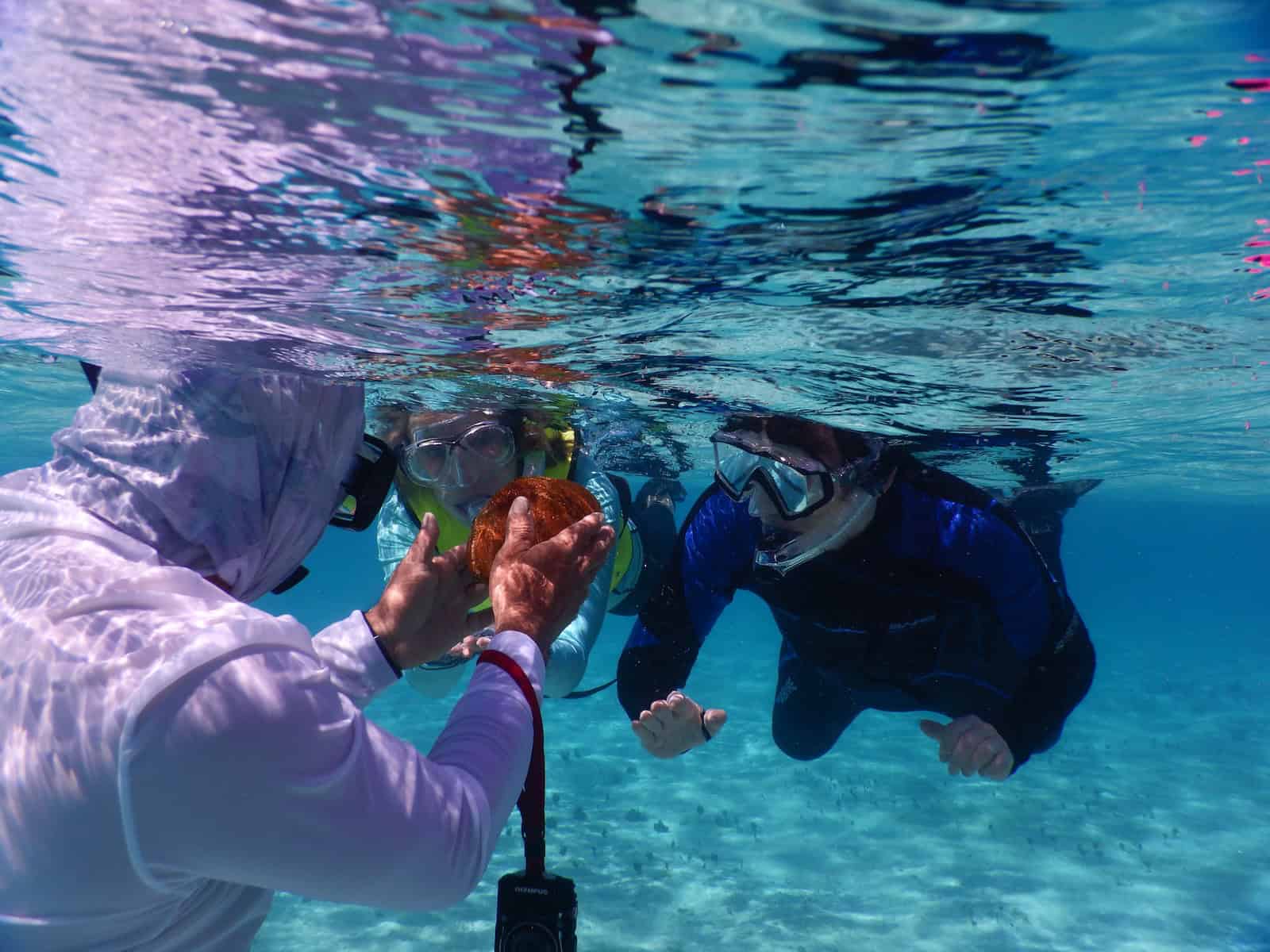 Oceanic Naturalist guide showing coral to travelers at Great Blue Hole in Belize
