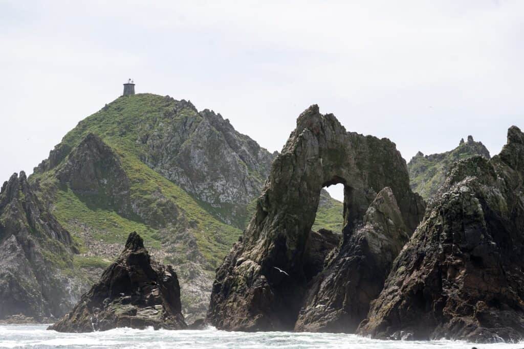 rock formations covered in greenery rise out of water