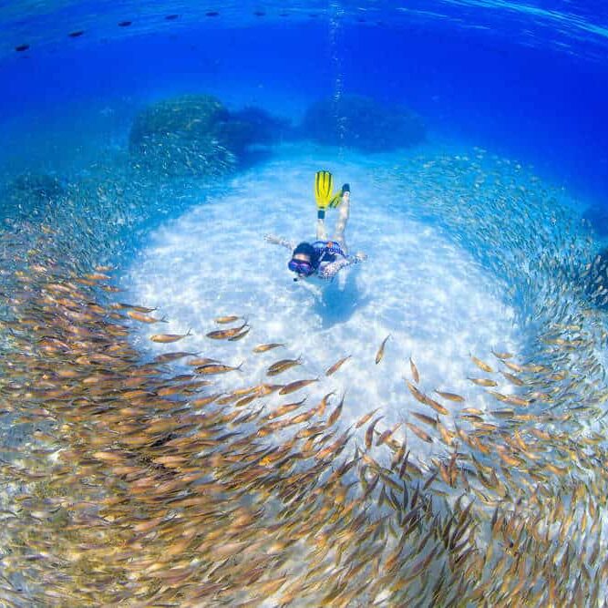 IYOR Bank People and the Reef Yen Yi Lee