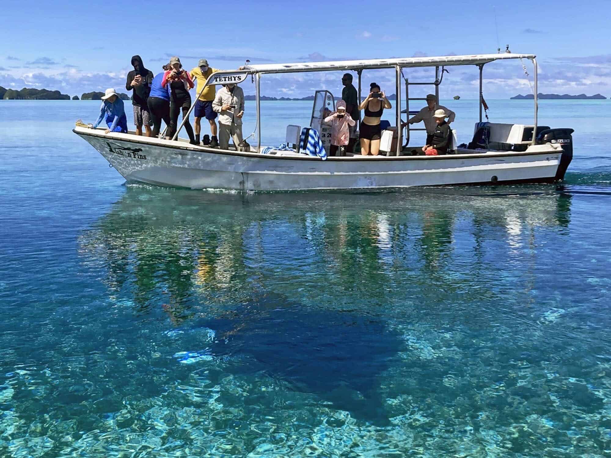 travelers on boat watch as manta ray swims beneath water surface