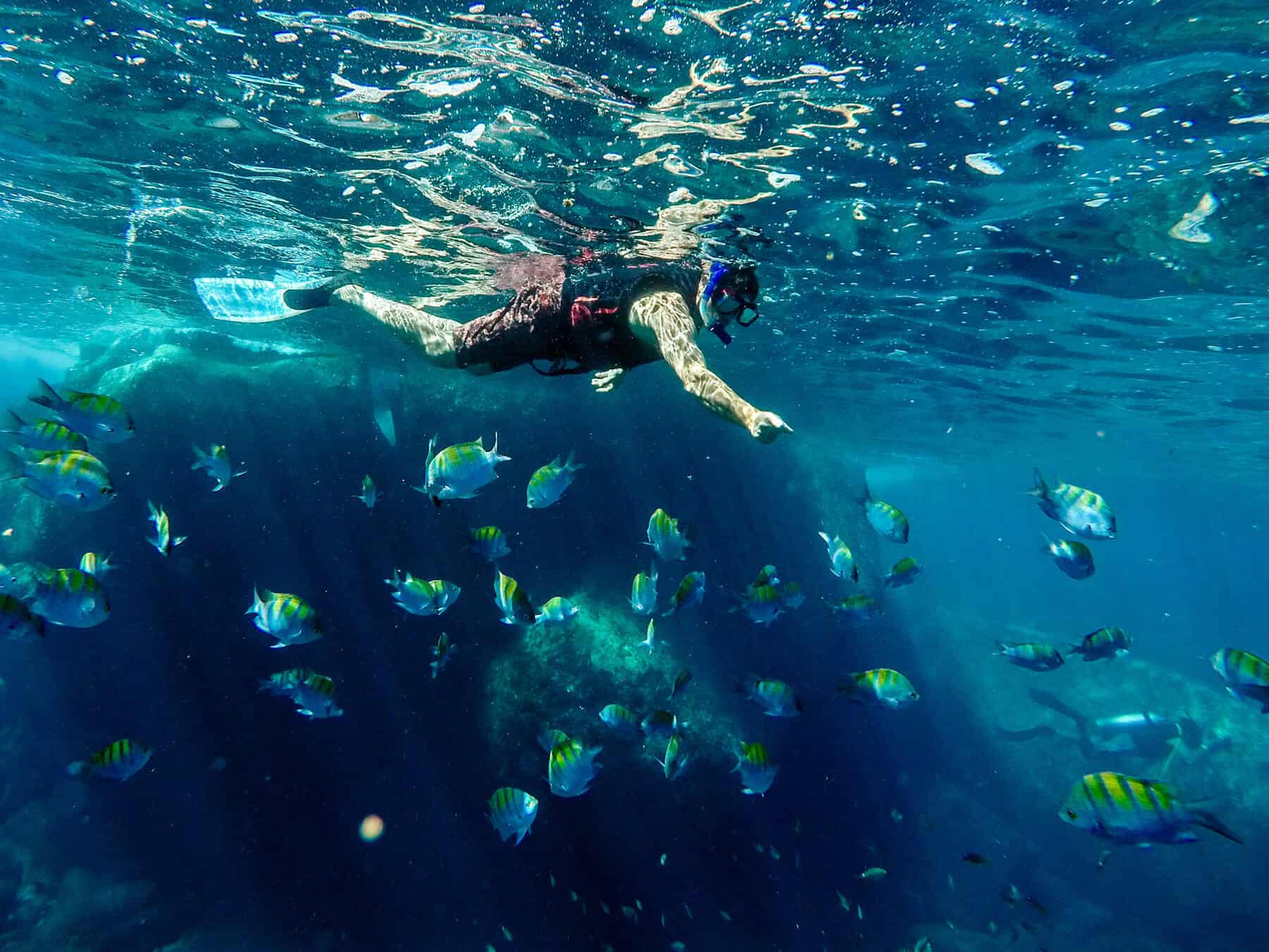 Underwater view of a snorkeler swimming over colorful coral reefs in Cabo Pulmo.