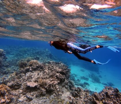 Underwater photo of a snorkeler in Fiji wearing a wetsuit at the surface, with the words “Let the sea set you free” printed on the back.